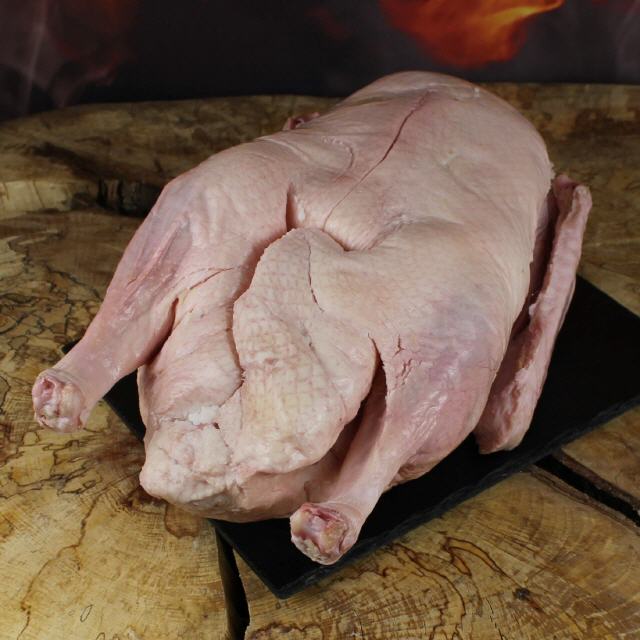 Bio Gans aus der Wachau